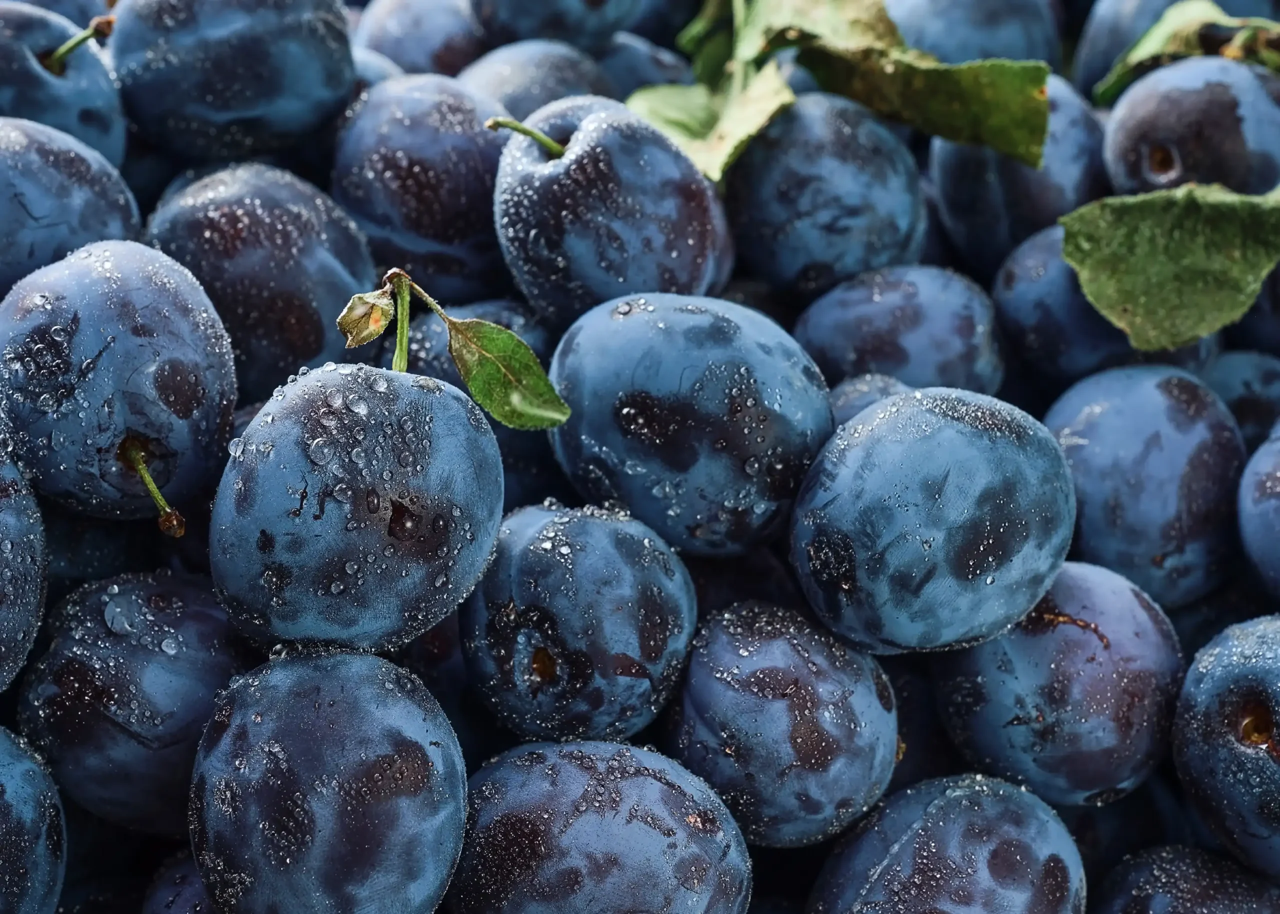 Η θρεπτική αξία του δαμάσκηνου